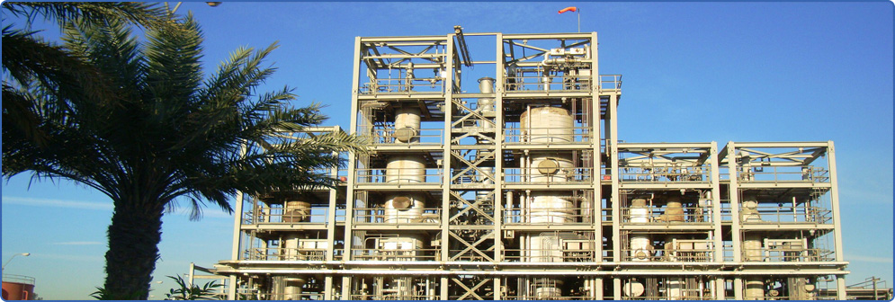 United Lube Oil Company